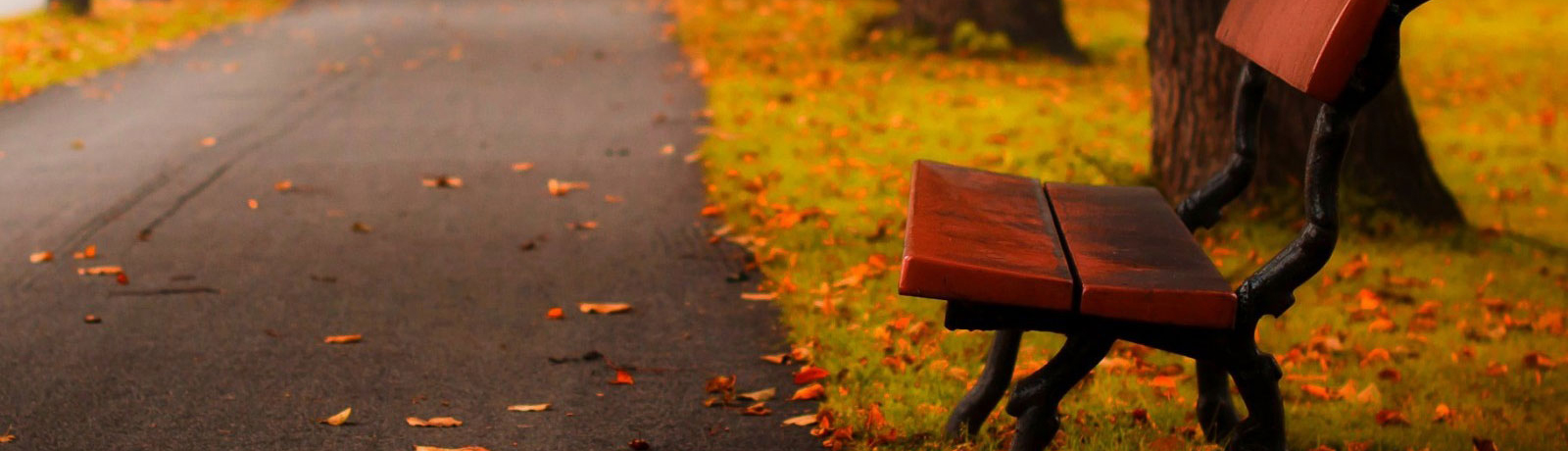 資質(zhì)榮譽(yù)